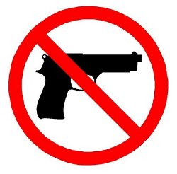 Illinois Gun Ban